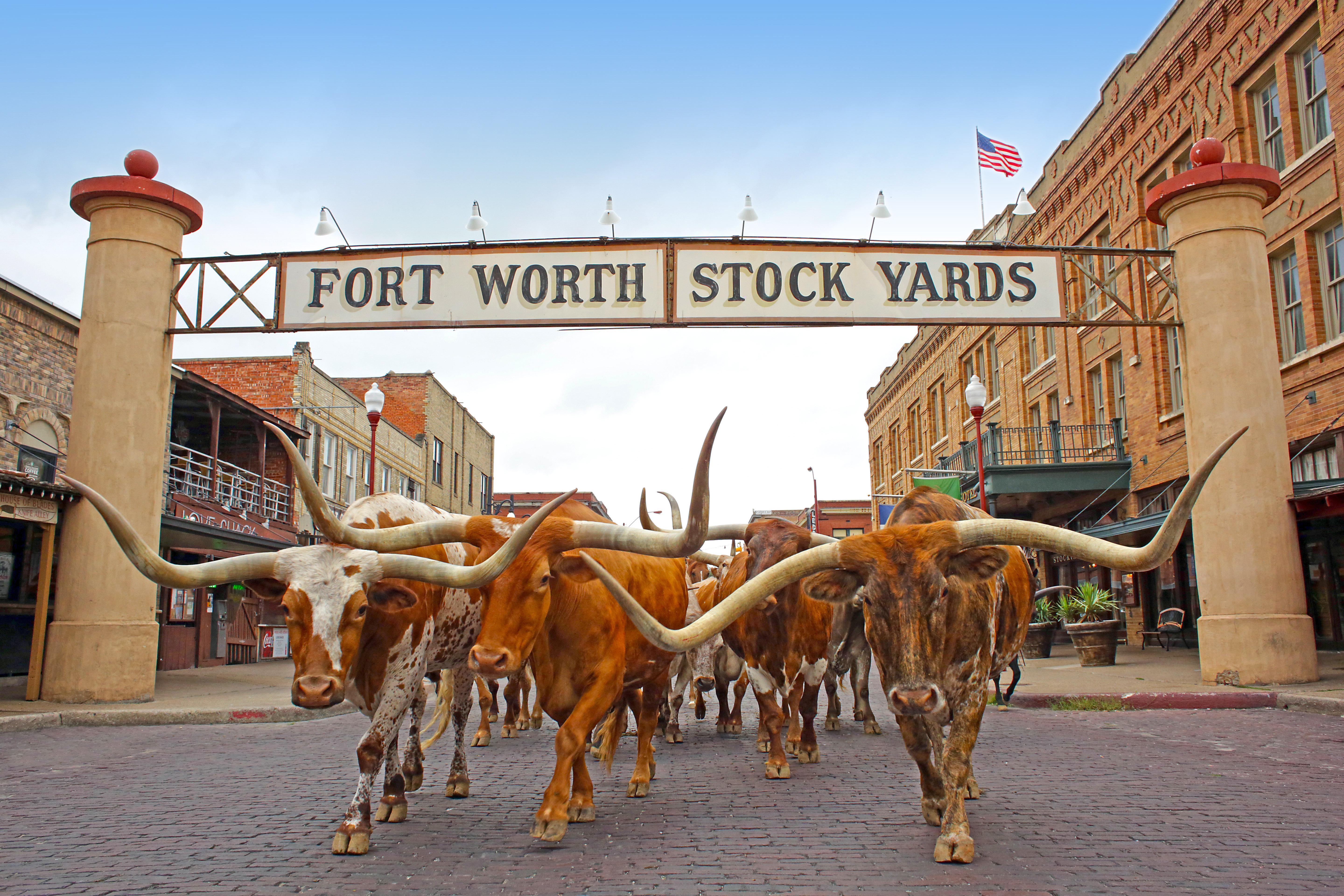 Holiday Inn Express Hotel And Suites Fort Worth/I-20 Buitenkant foto